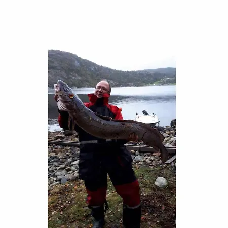 8 Person In Masfjordnes-by Traum