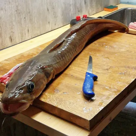 Дом отдыха 8 Person In Masfjordnes-by Traum *